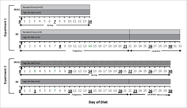 Figure 7.