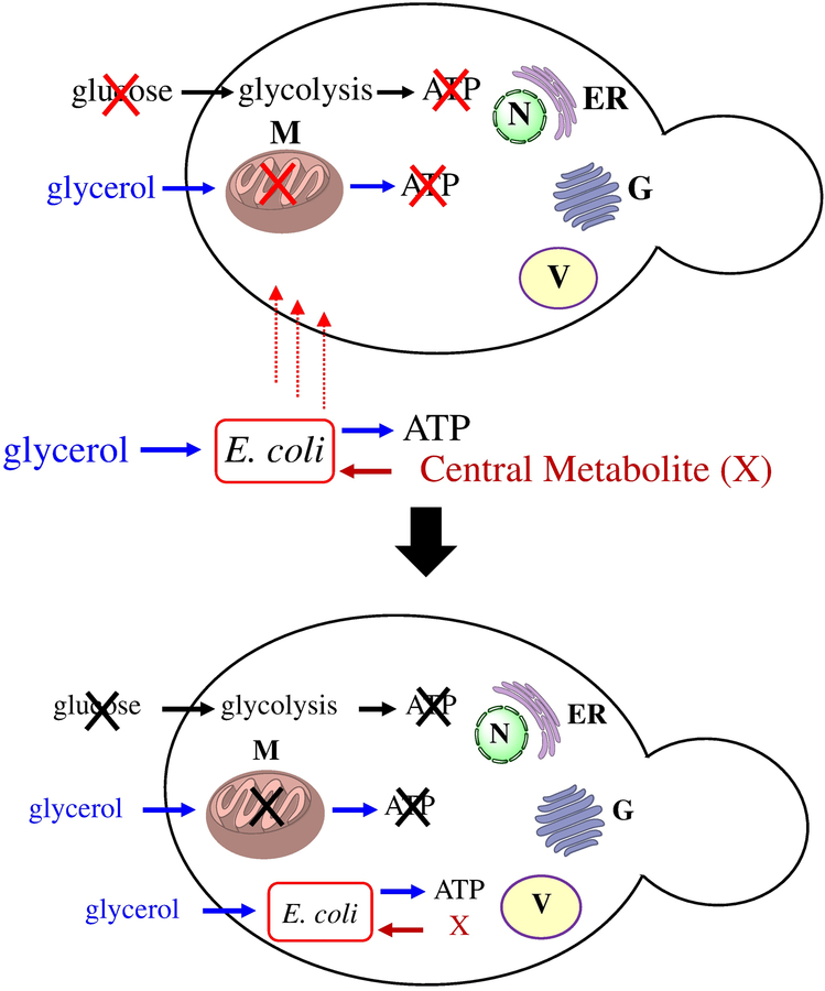 Figure 1: