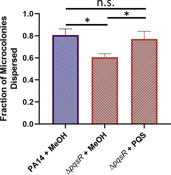 FIG 6