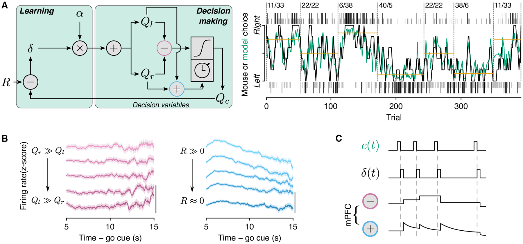 Figure 5: