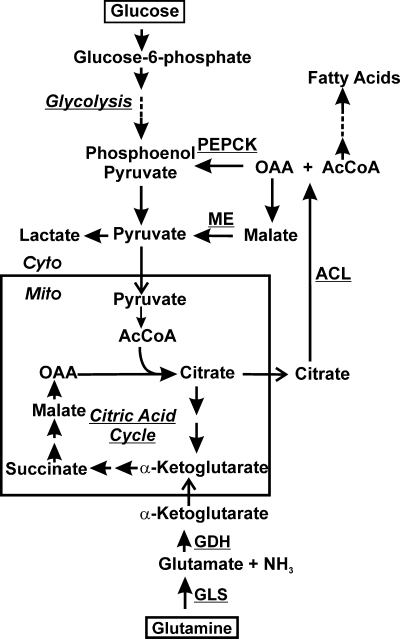 FIG. 1.