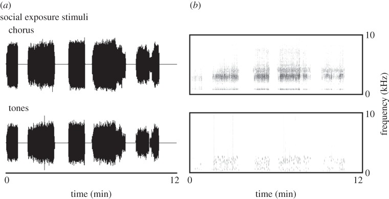 Figure 1.