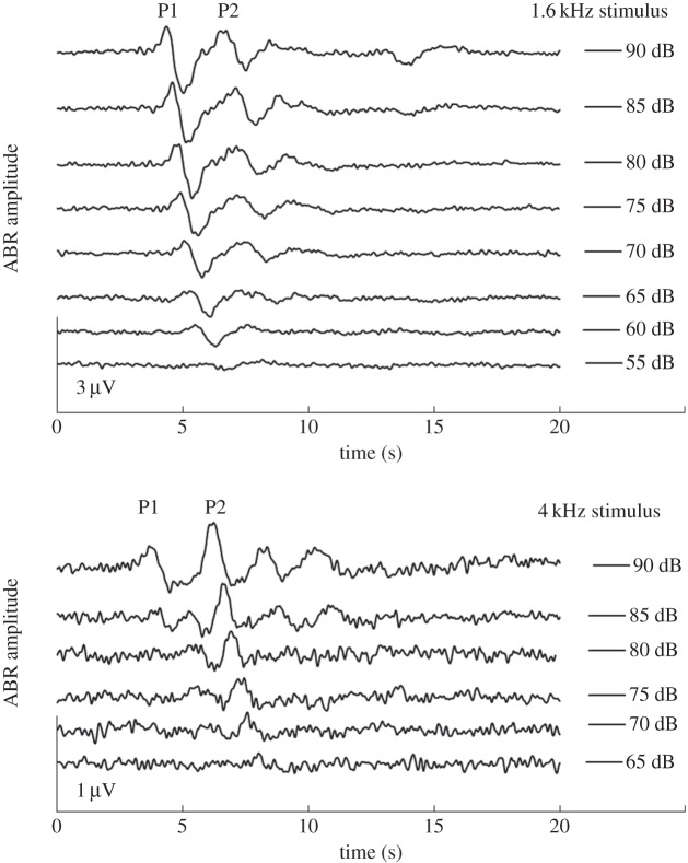 Figure 2.