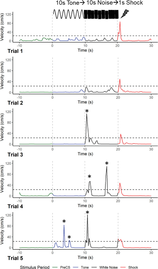 Figure 1—figure supplement 1.