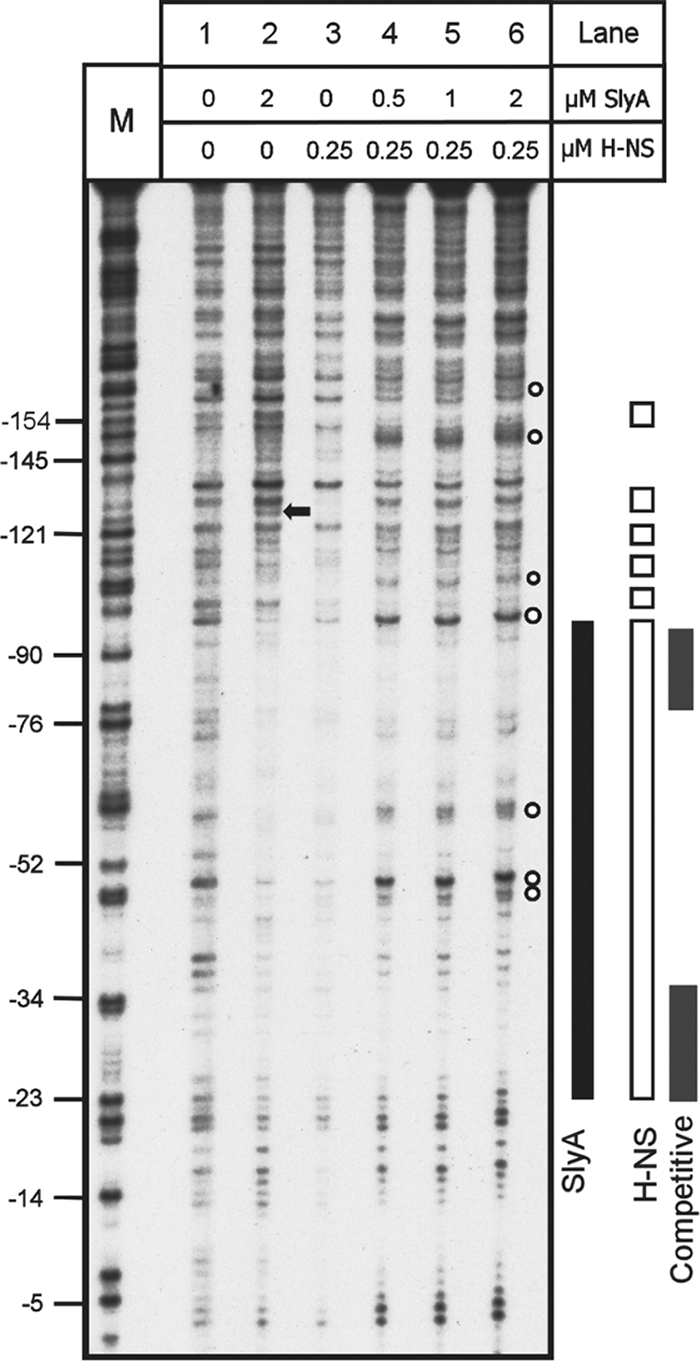 FIG. 7.