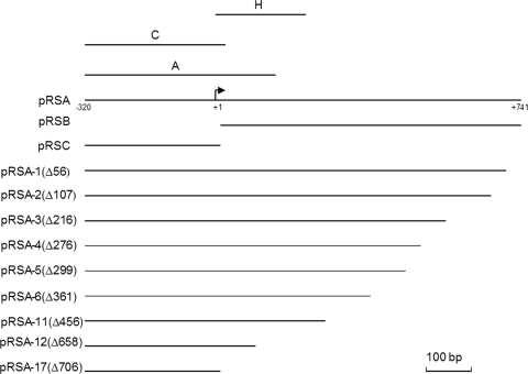 FIG. 2.