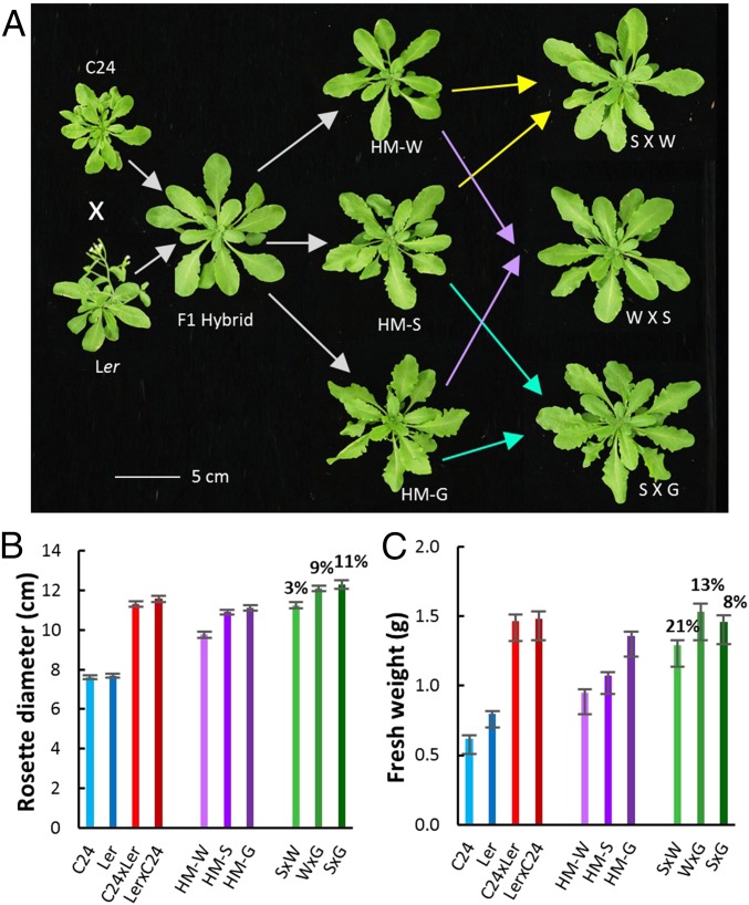 Fig. 5.