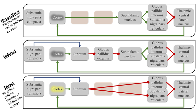 Figure 1 |