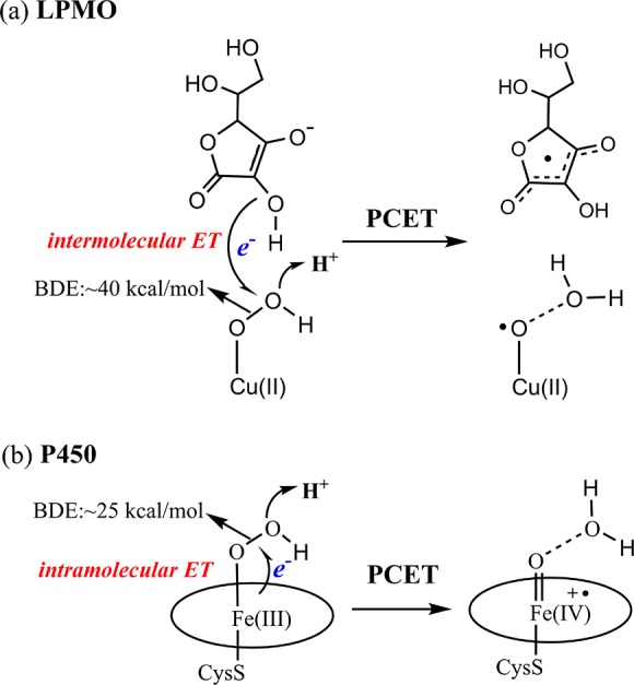 Scheme 7