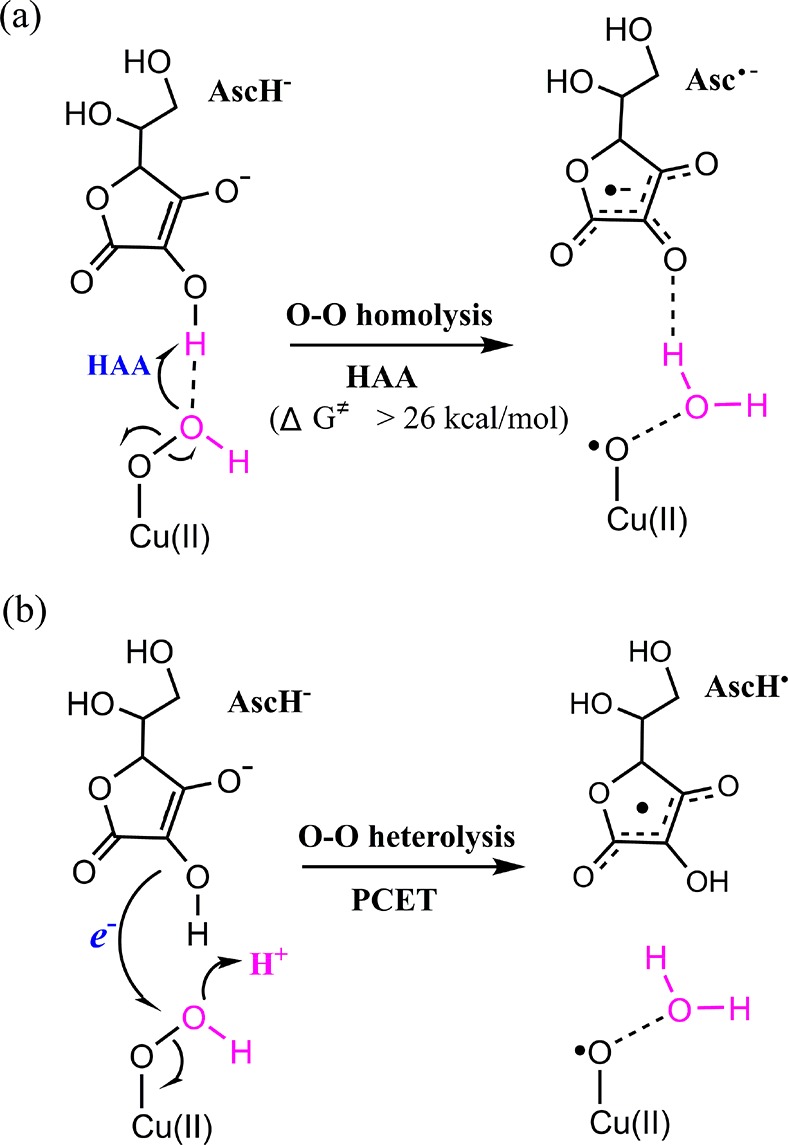 Scheme 3