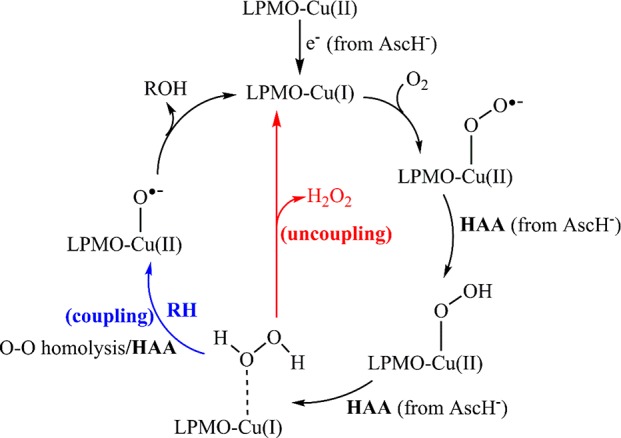 Scheme 8