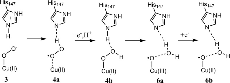 Scheme 6