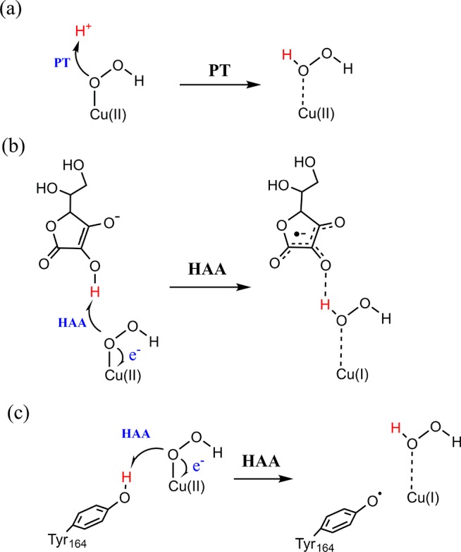 Scheme 5