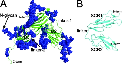 FIG. 1.