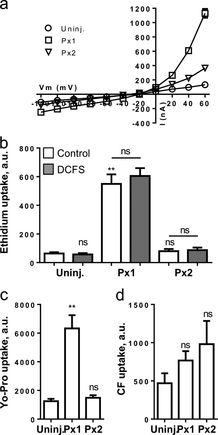 FIGURE 3.