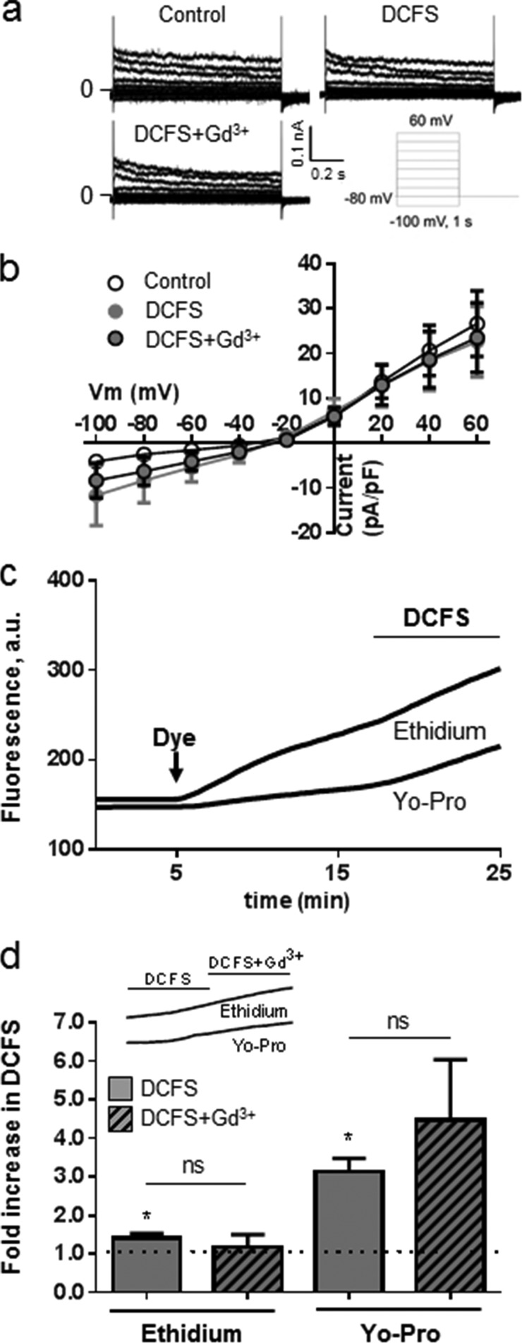 FIGURE 7.