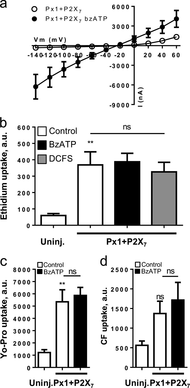 FIGURE 5.