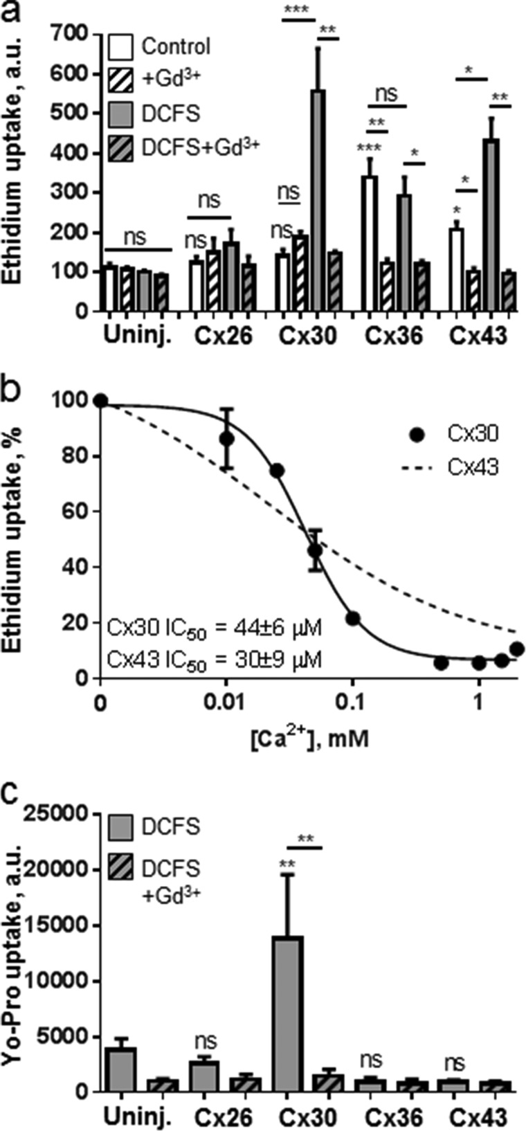 FIGURE 1.