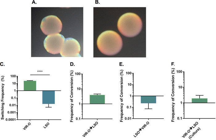 FIG 1