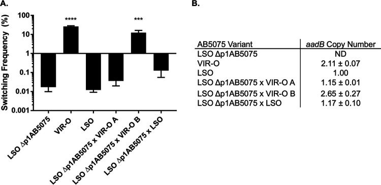 FIG 3