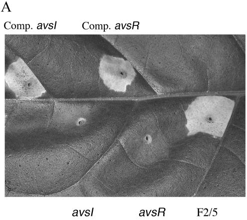 FIG. 5.