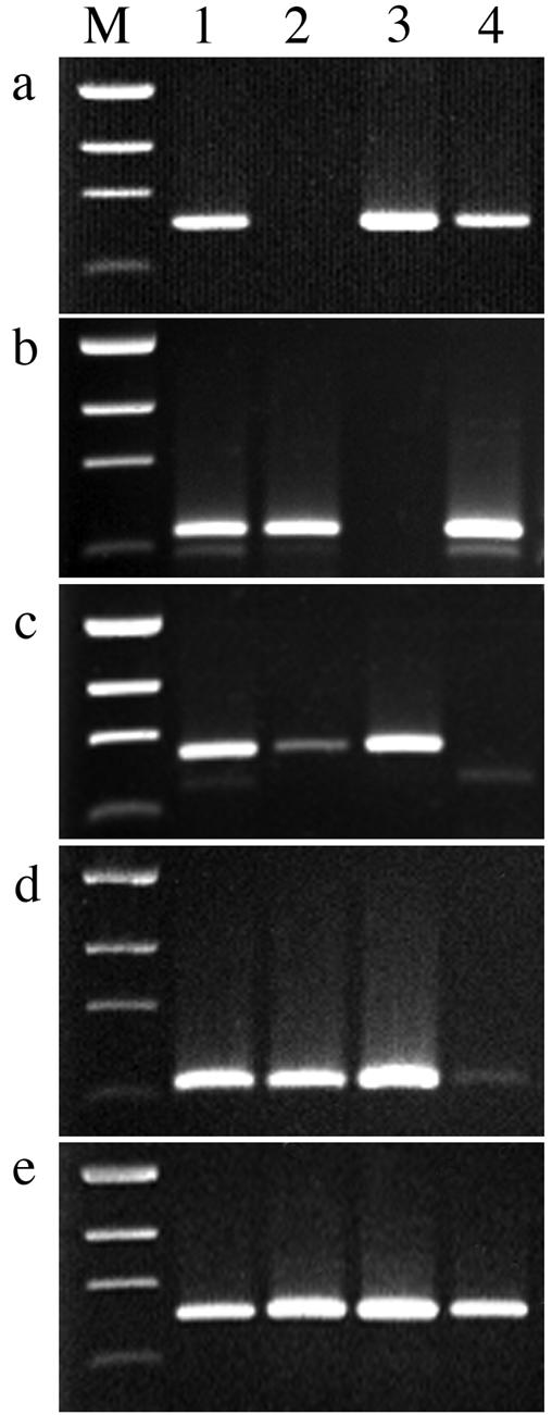 FIG. 7.