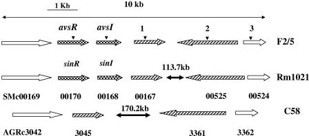 FIG. 4.