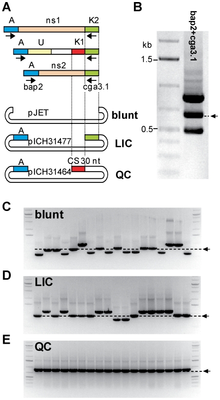 Figure 6