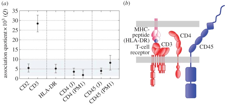 Figure 5.