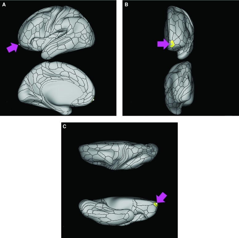 FIGURE 3.