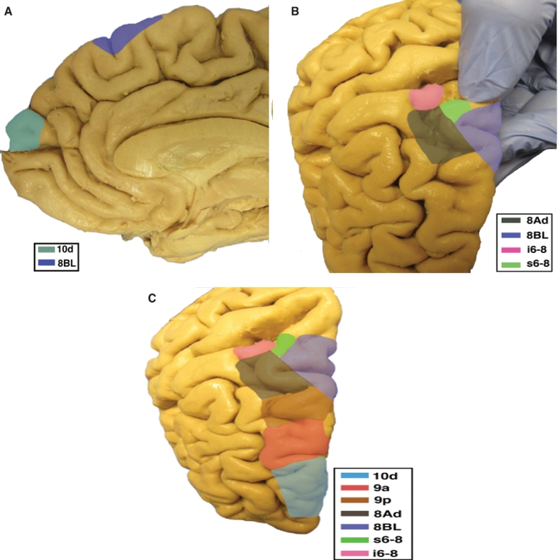 FIGURE 15.