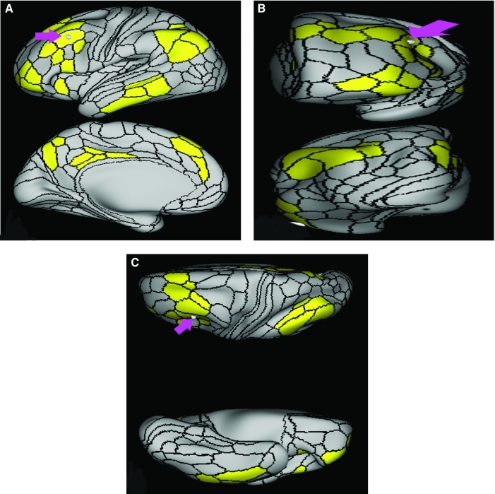 FIGURE 37.