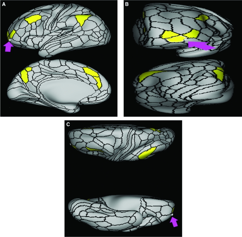 FIGURE 7.