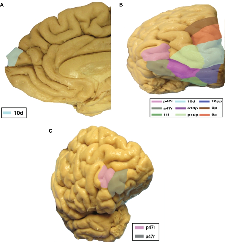 FIGURE 1.