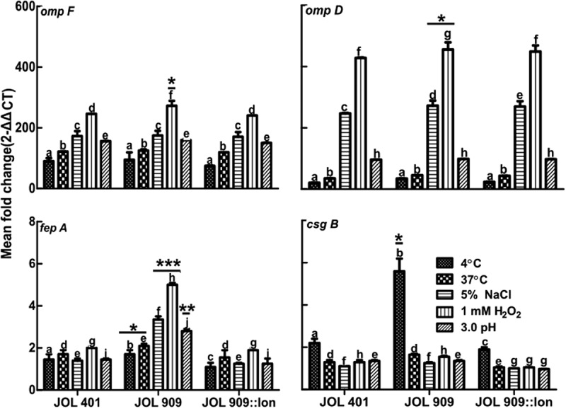 Figure 4.