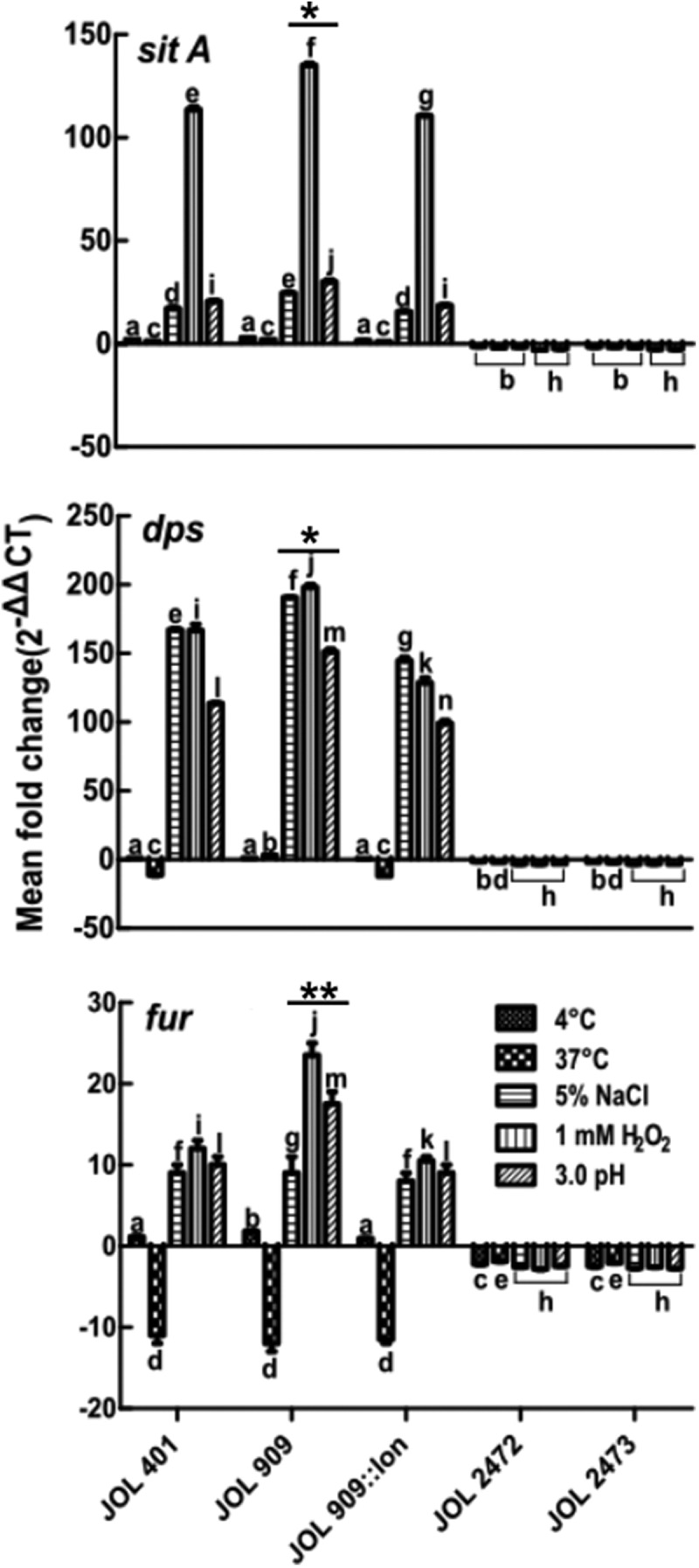 Figure 5.