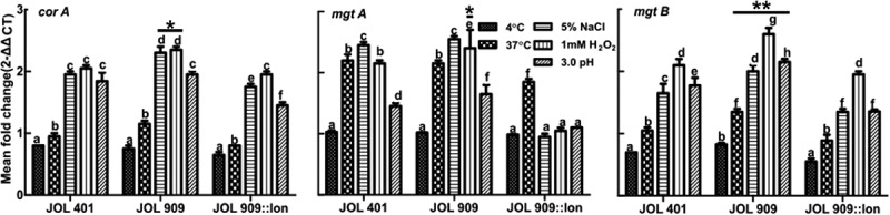 Figure 6.