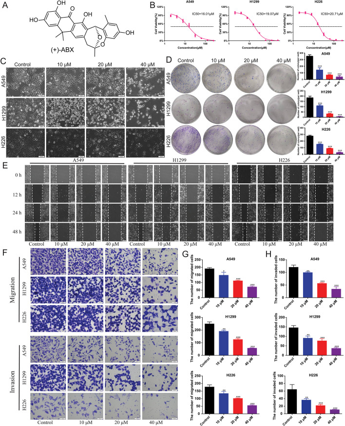 Fig. 1