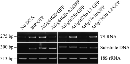 Figure 10.