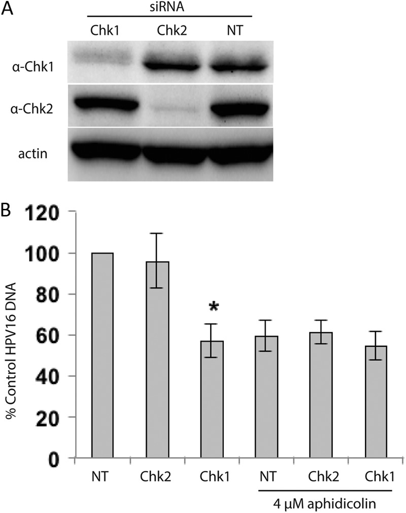 Fig 8