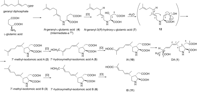 Figure 6