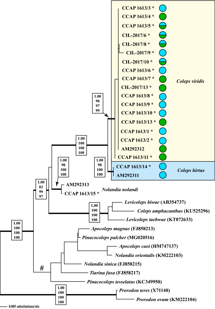 Figure 2