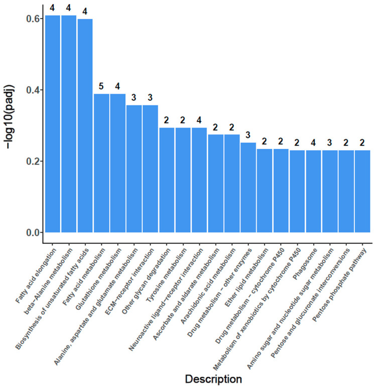 Figure 6