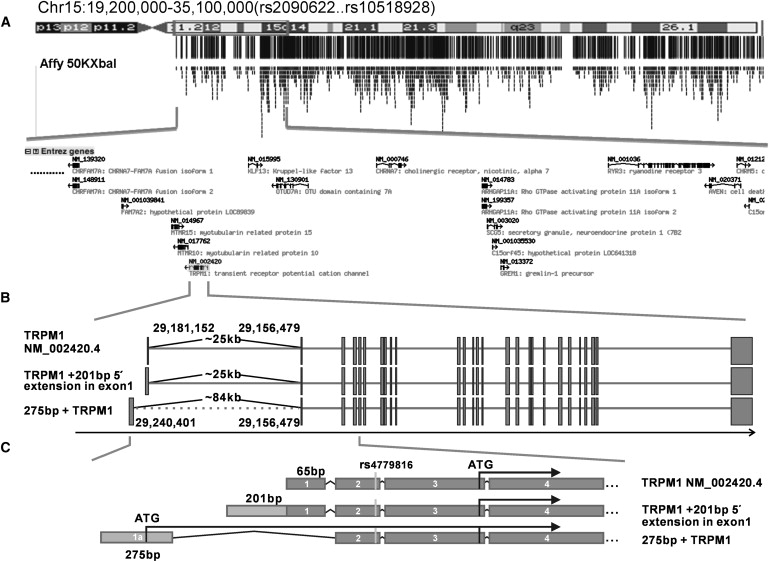 Figure 4