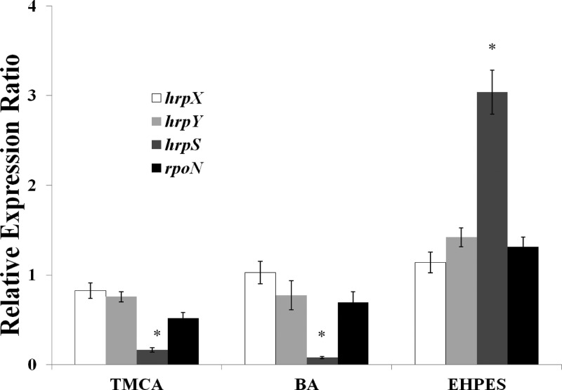 Fig 5