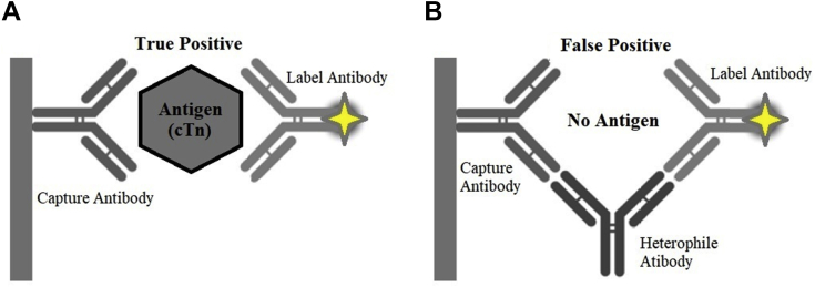 Figure 5