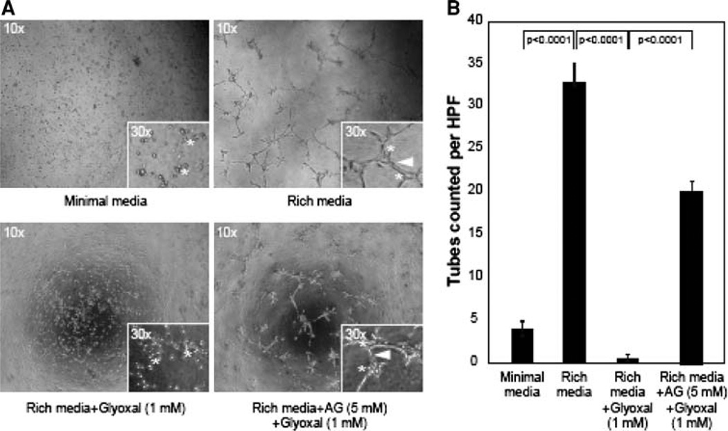 Fig. 12