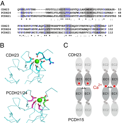 Fig. 6.