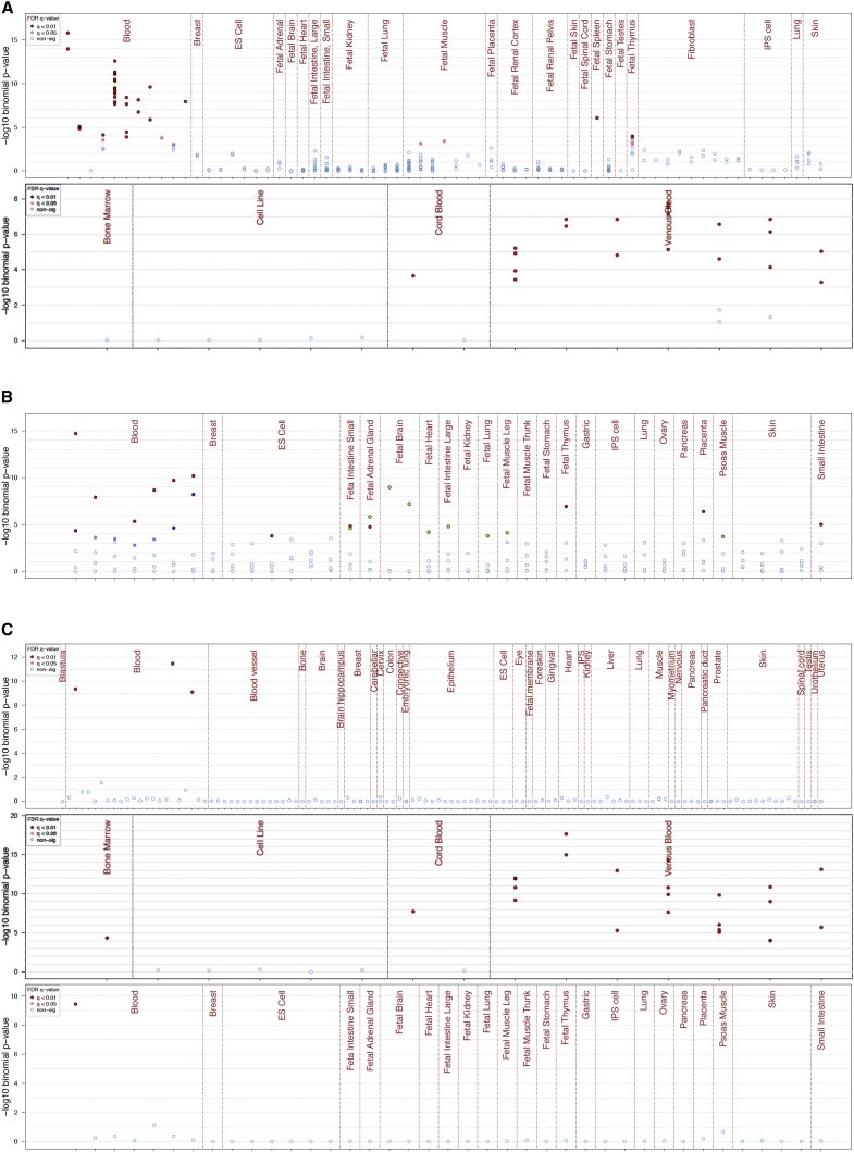 Figure 6