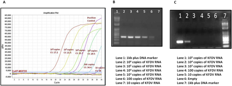 Fig. 2